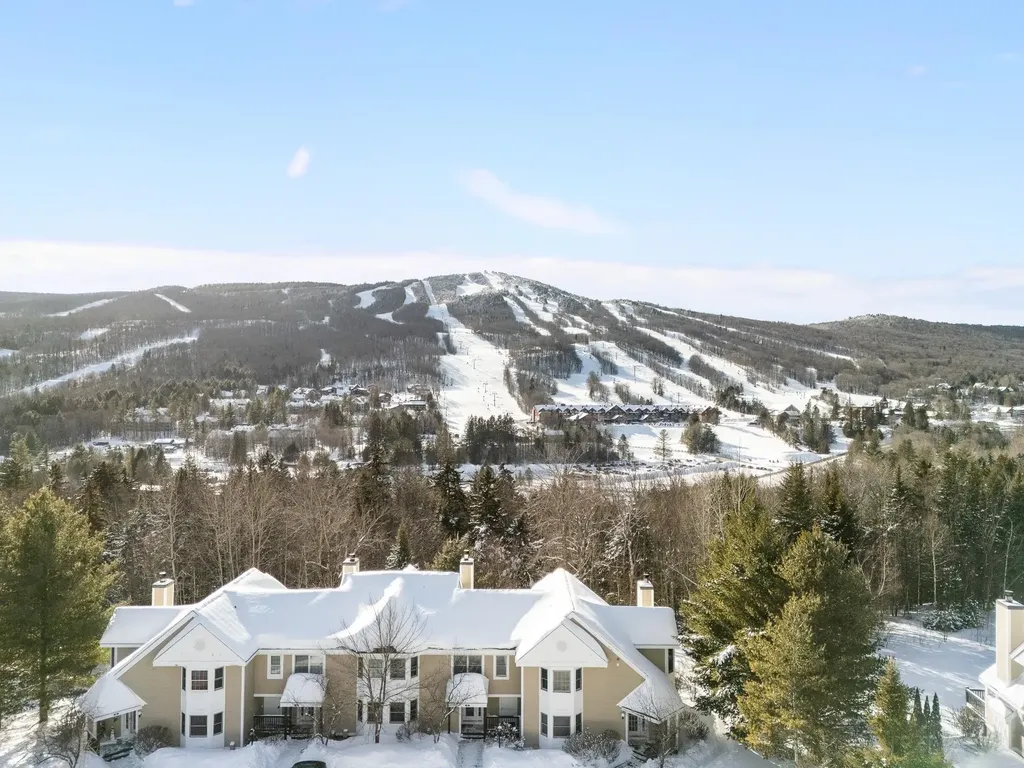 39D Dover Springs Lane Dover VT 04356