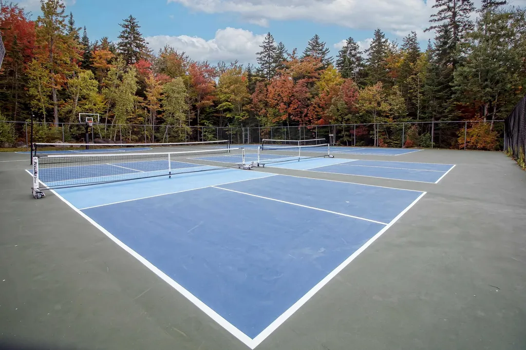 39D Dover Springs Lane Dover VT 04356