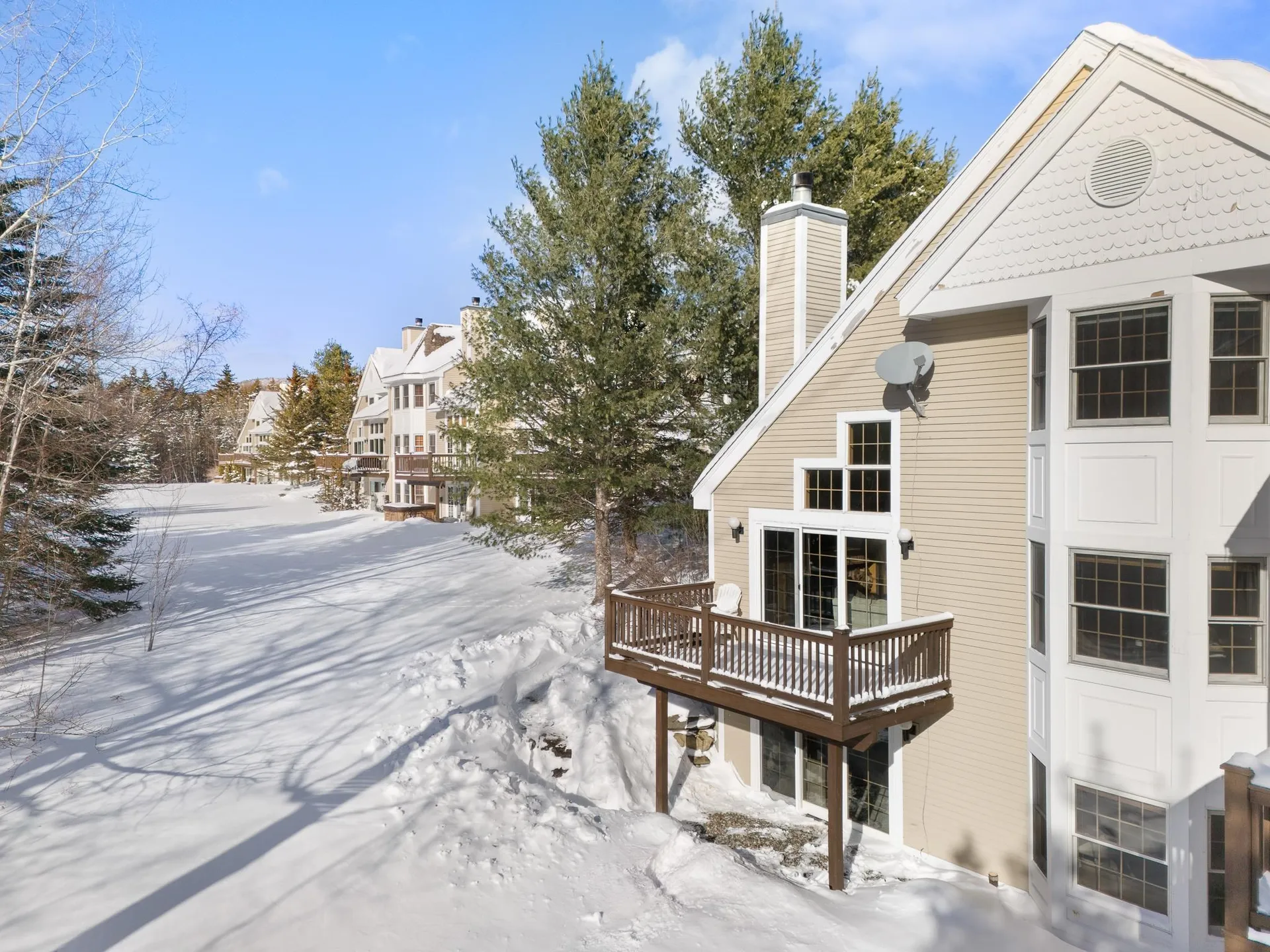 39D Dover Springs Lane Dover VT 04356