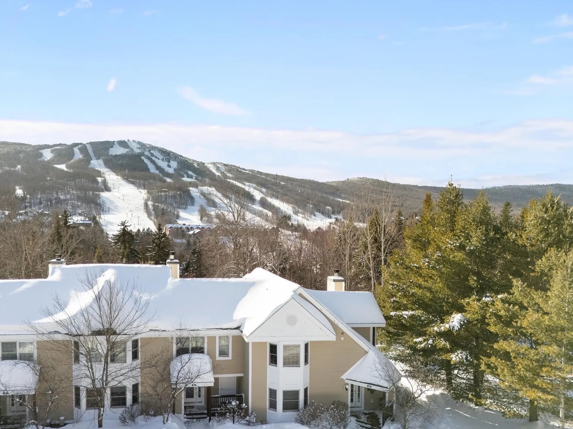 39D Dover Springs Lane Dover VT 04356