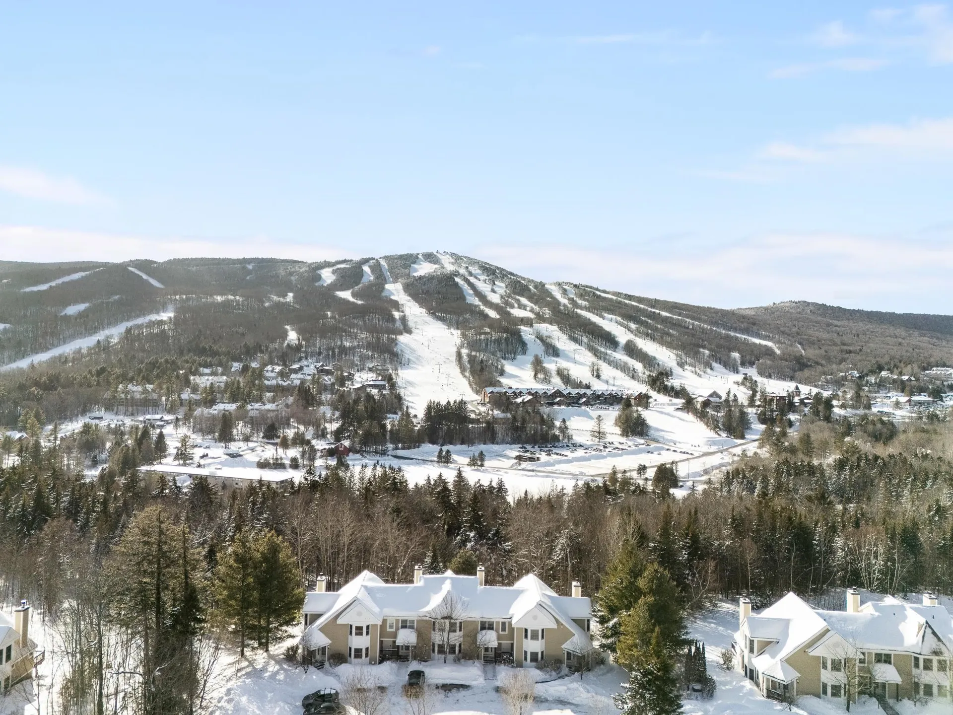 39D Dover Springs Lane Dover VT 04356