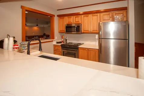 39D Dover Springs Lane Dover VT 04356