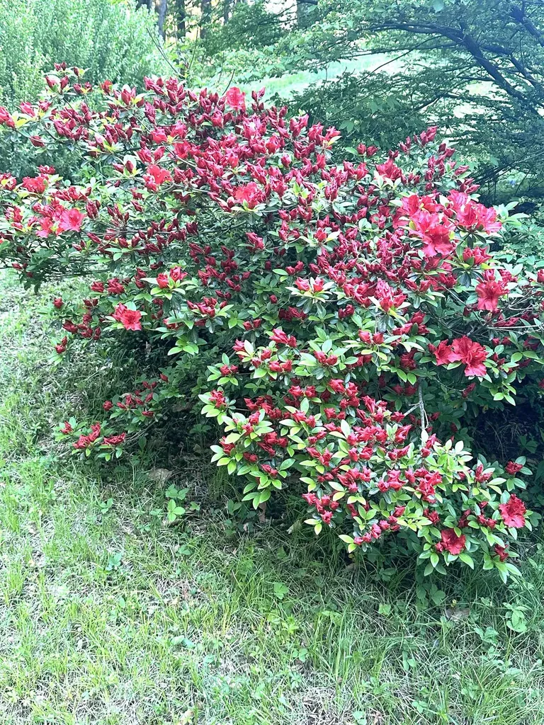 136 Lovering Avenue Loudon NH 03307