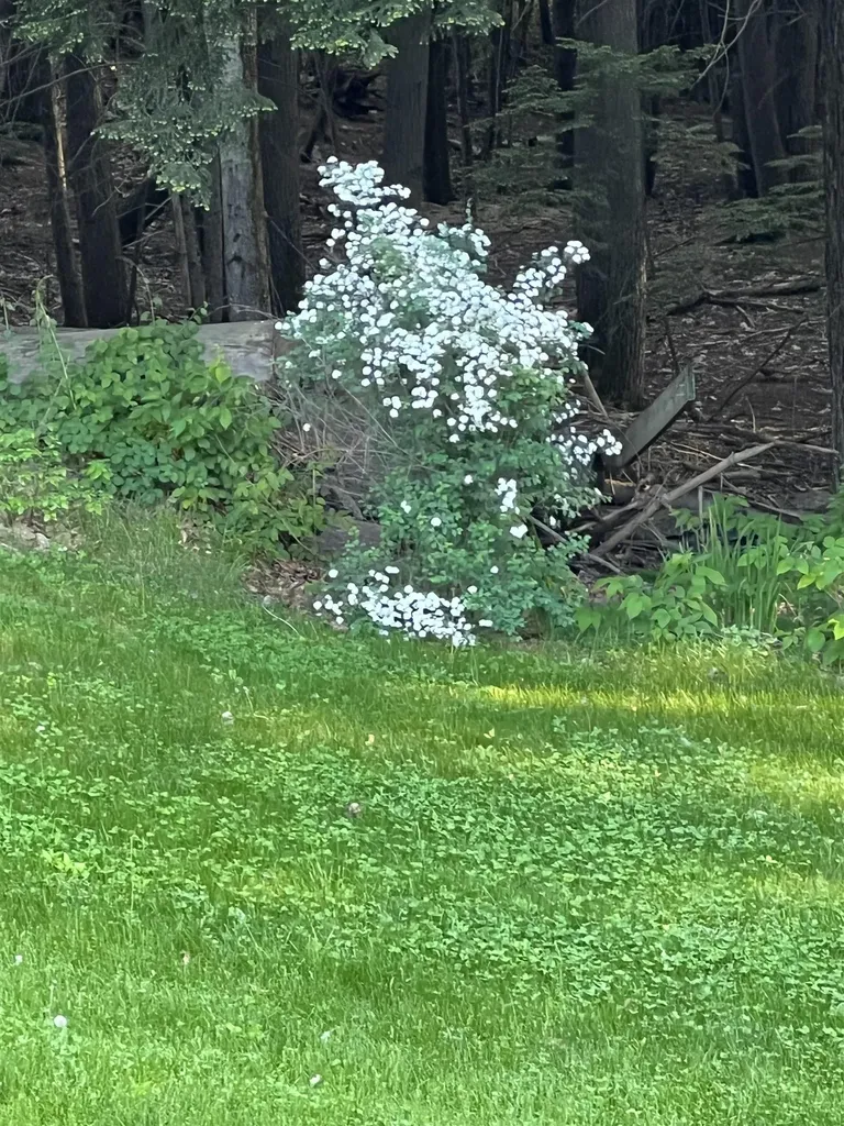 136 Lovering Avenue Loudon NH 03307