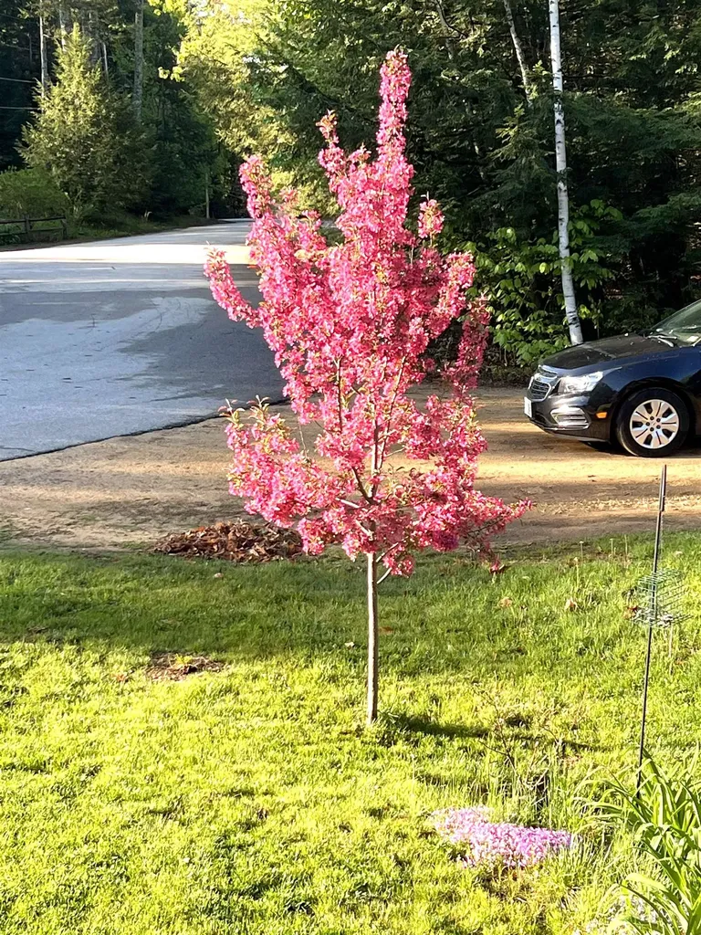 136 Lovering Avenue Loudon NH 03307