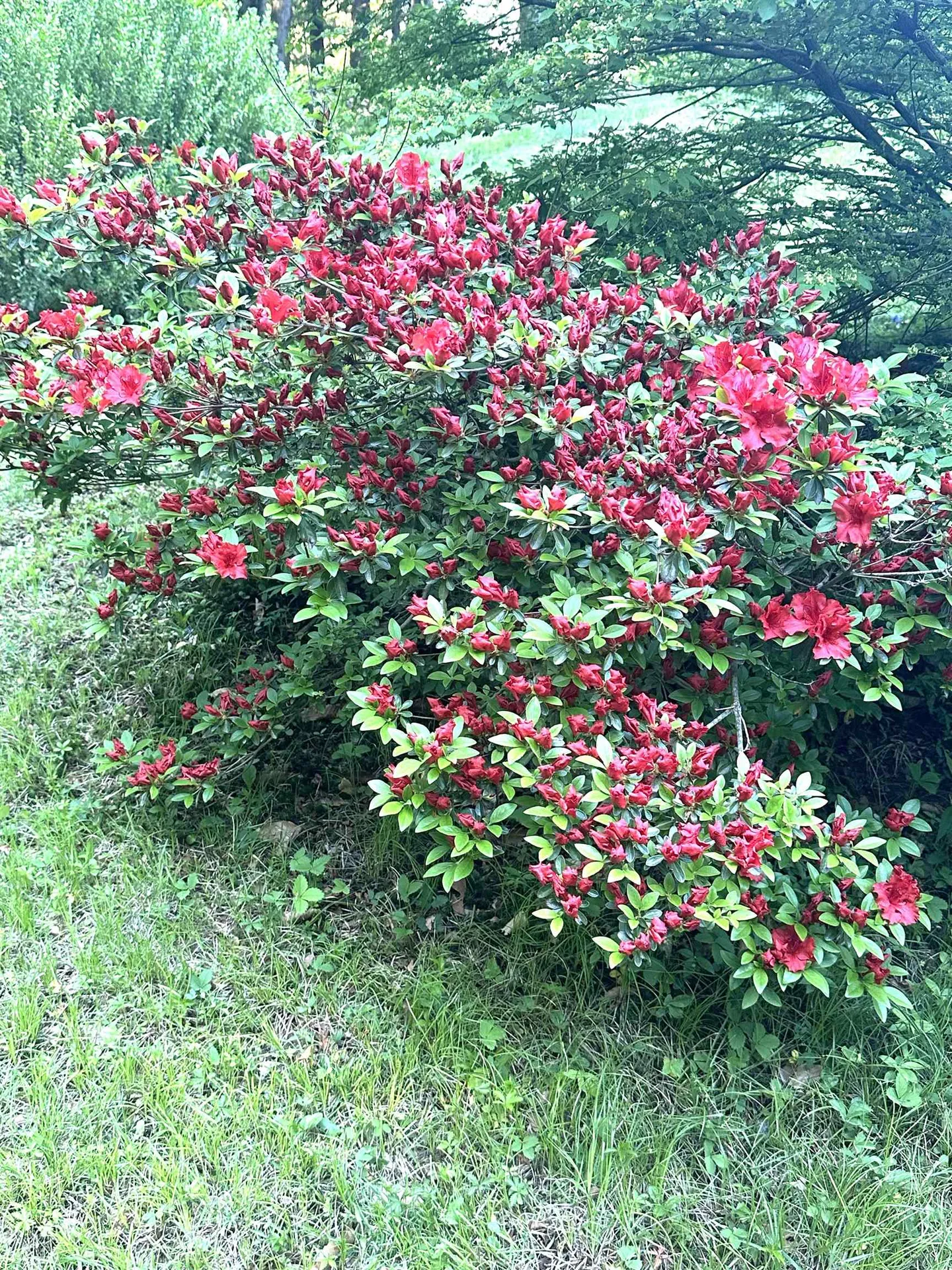 136 Lovering Avenue Loudon NH 03307