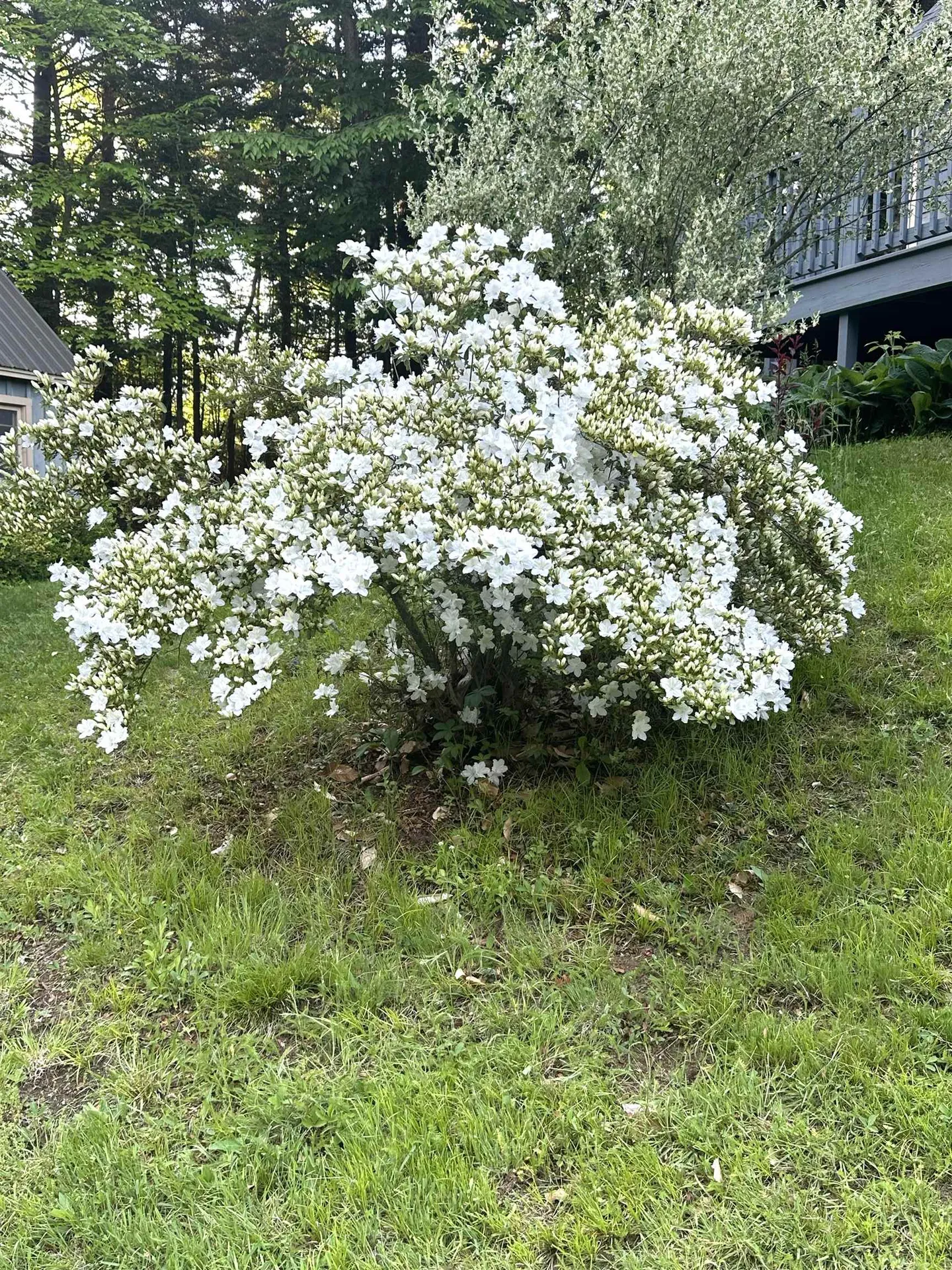 136 Lovering Avenue Loudon NH 03307