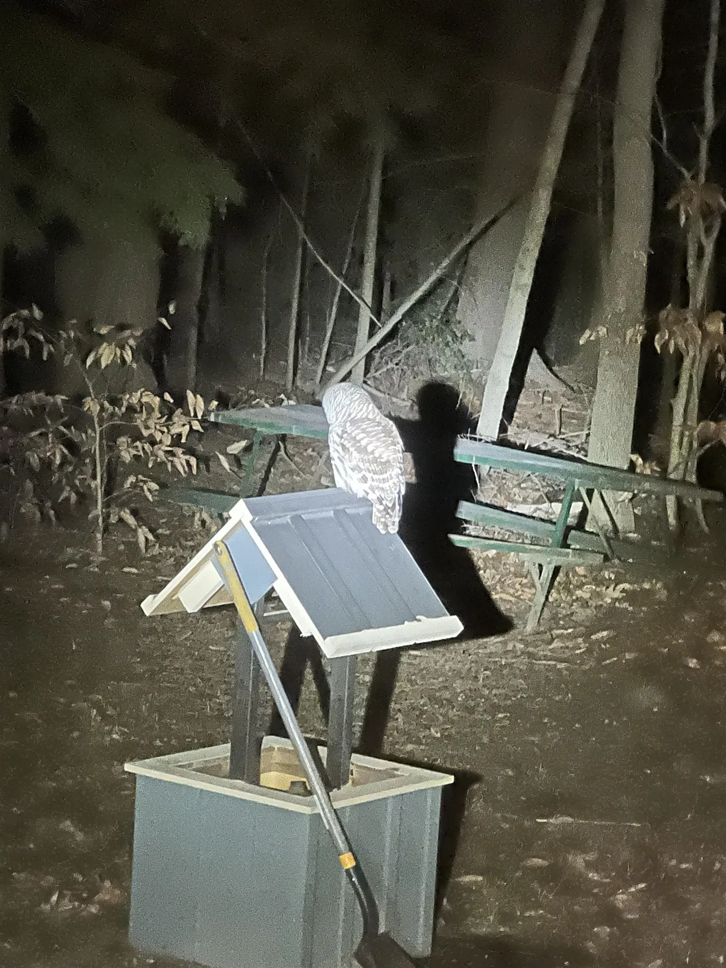 136 Lovering Avenue Loudon NH 03307