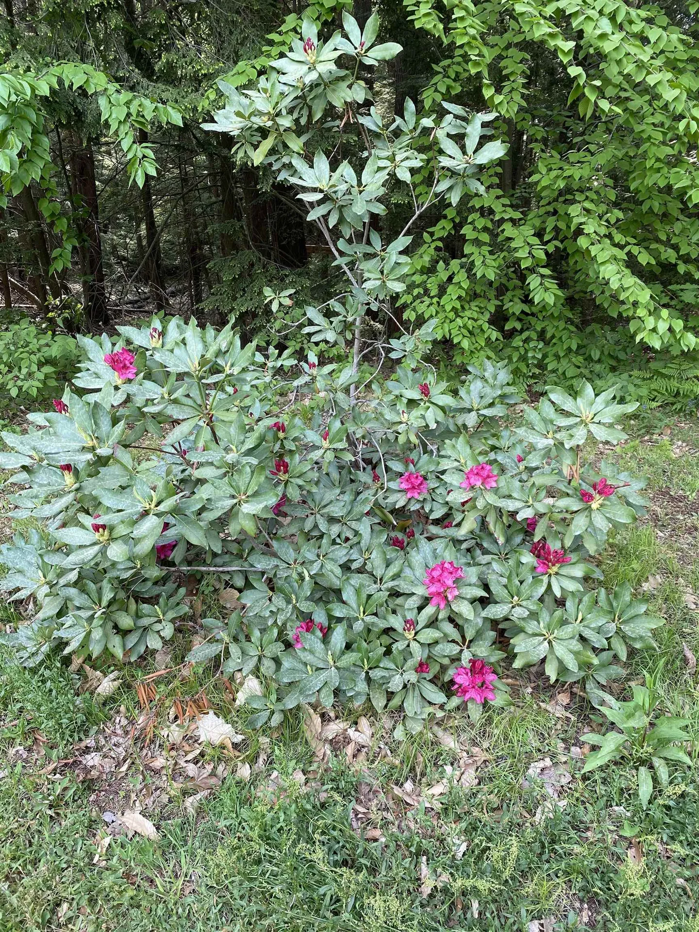 136 Lovering Avenue Loudon NH 03307