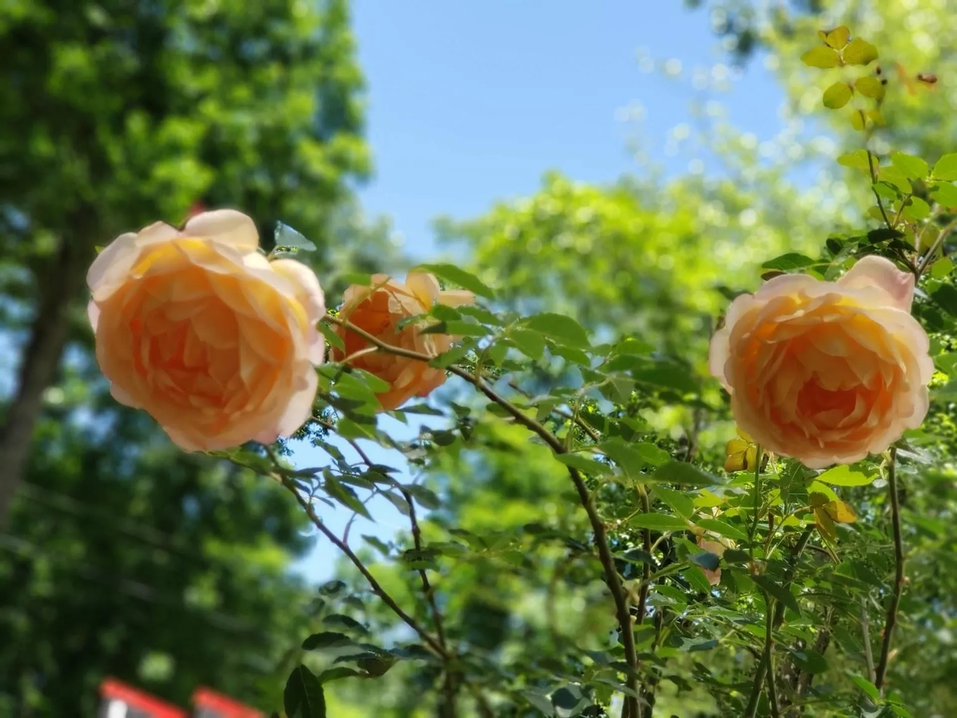 120 B Barretts Hill Road Hudson NH 03051