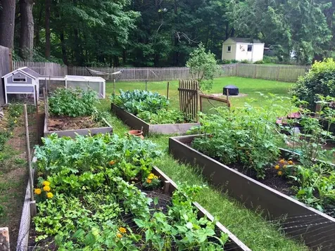 305 Congress Street Morristown VT 05661