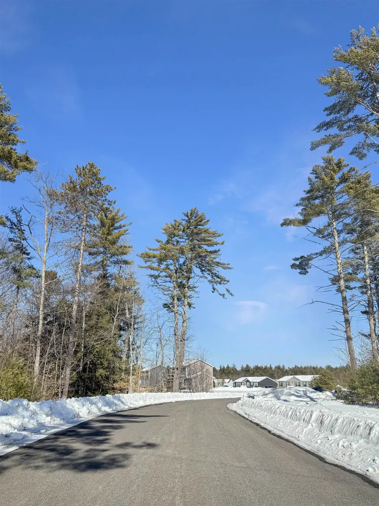 35 Margarets Way Ossipee NH 03864