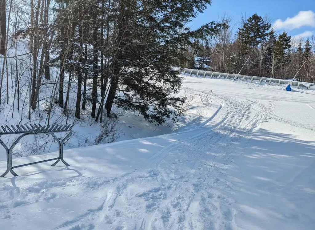 4 E Carinthia Lane Dover VT 05356