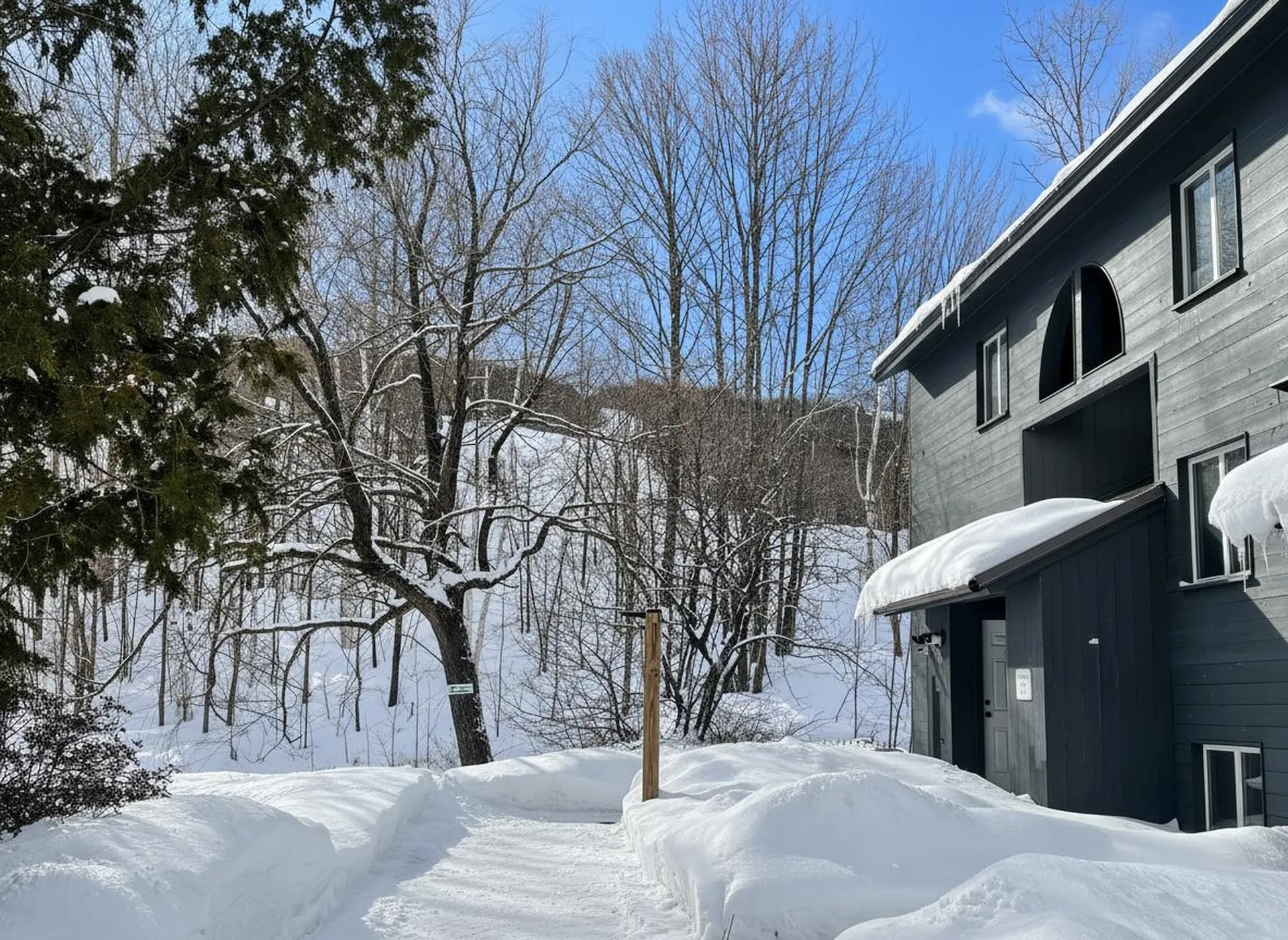 4 E Carinthia Lane Dover VT 05356