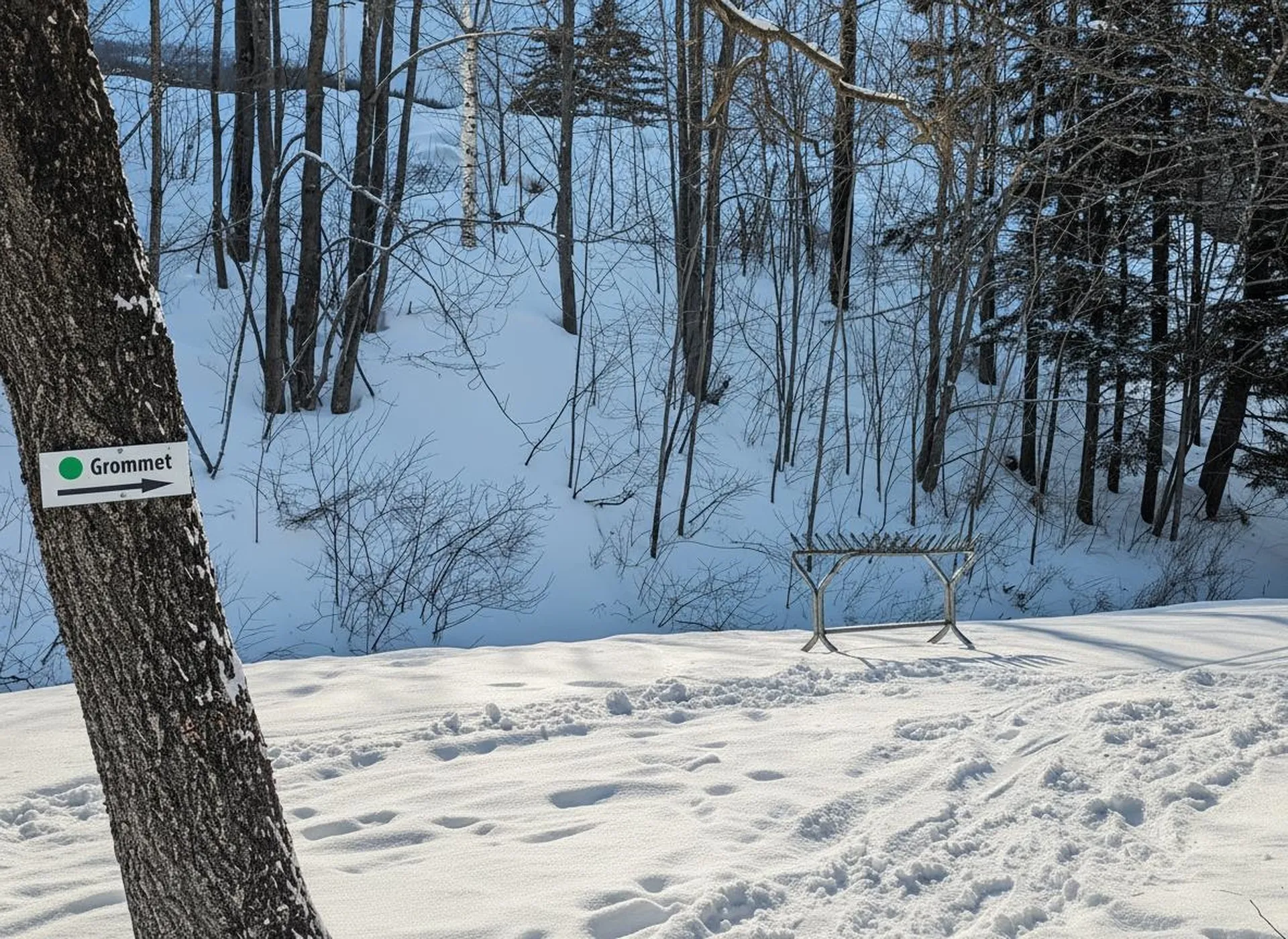 4 E Carinthia Lane Dover VT 05356