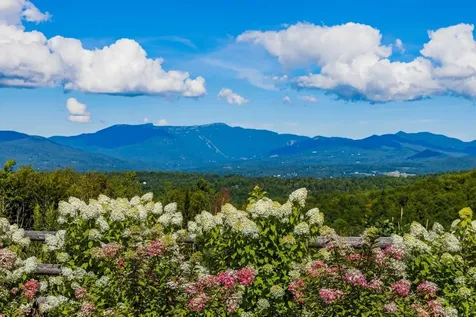 675 Putnam Forest Road Stowe VT 05672