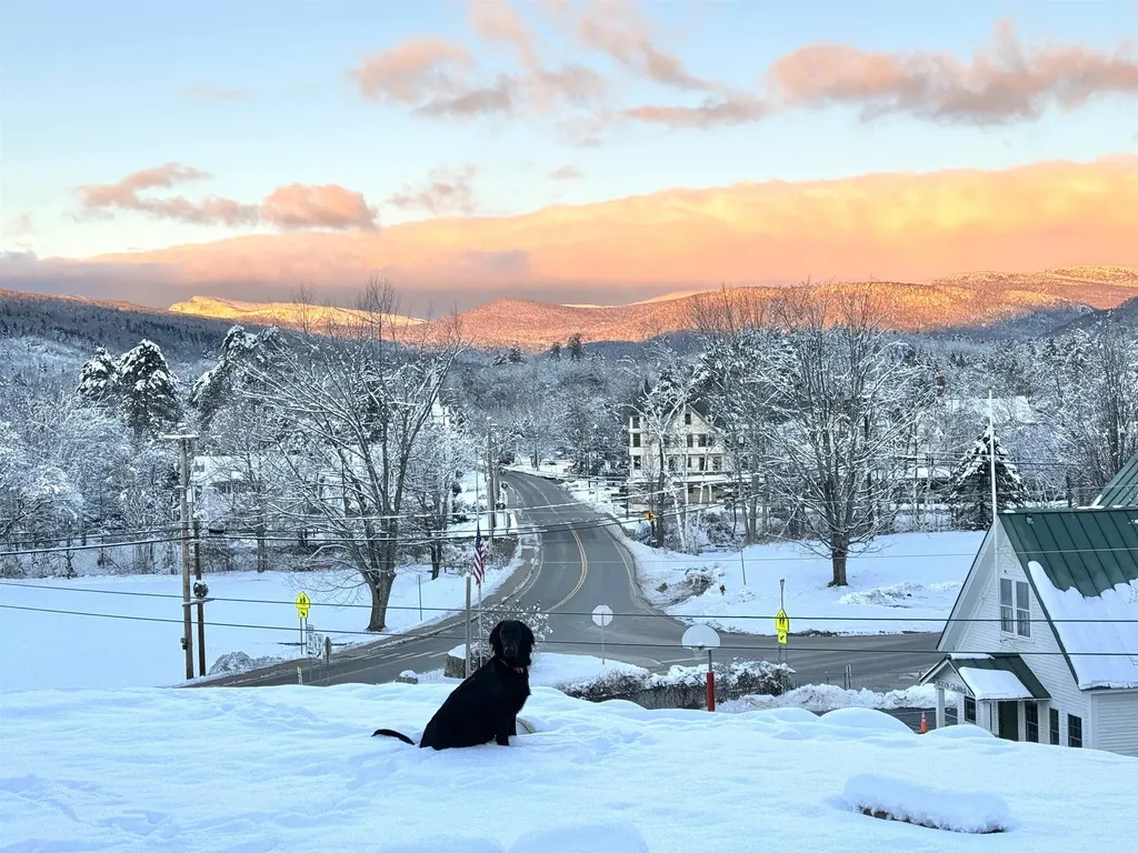 10 Evergreen Trail Jackson NH 03846