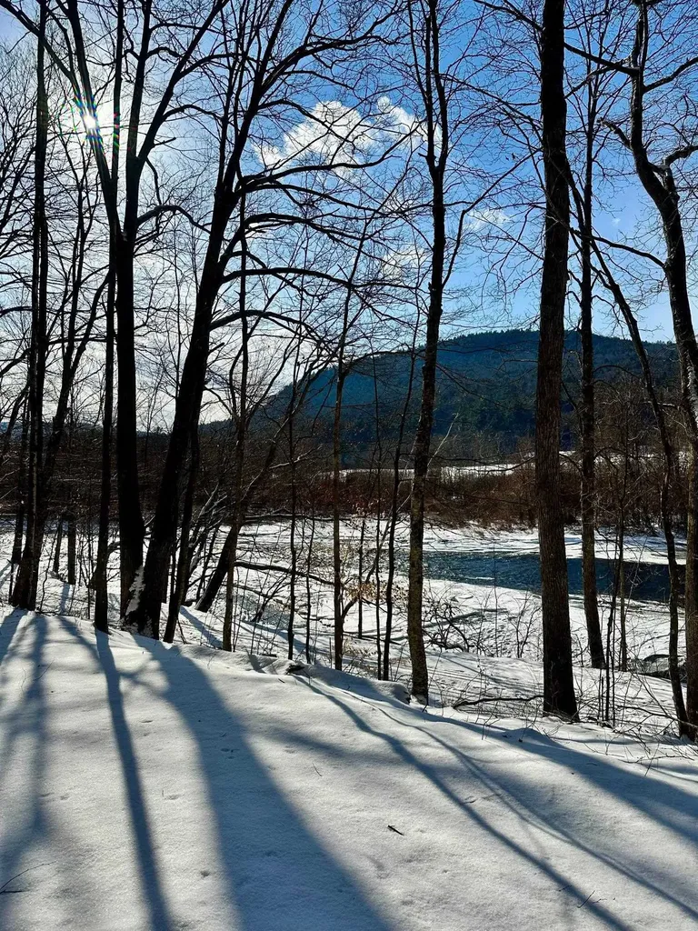 0 Ellen Ware Road Townshend VT 05353