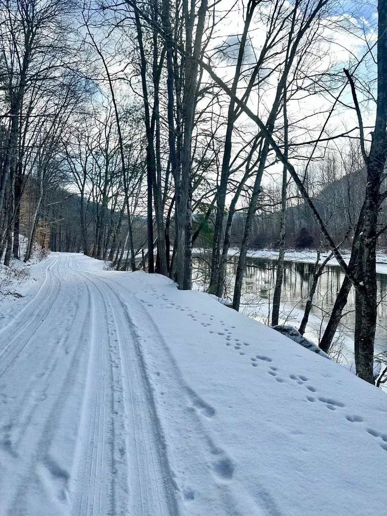 0 Ellen Ware Road Townshend VT 05353