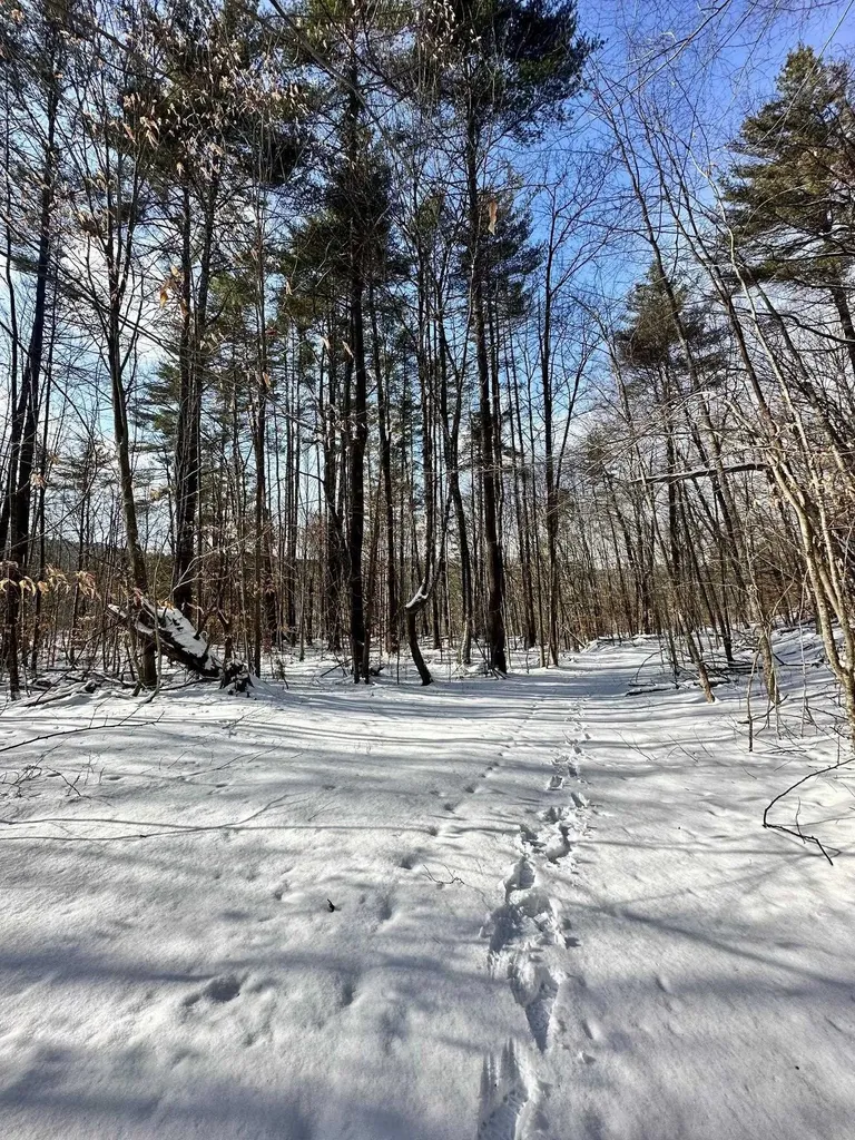 0 Ellen Ware Road Townshend VT 05353