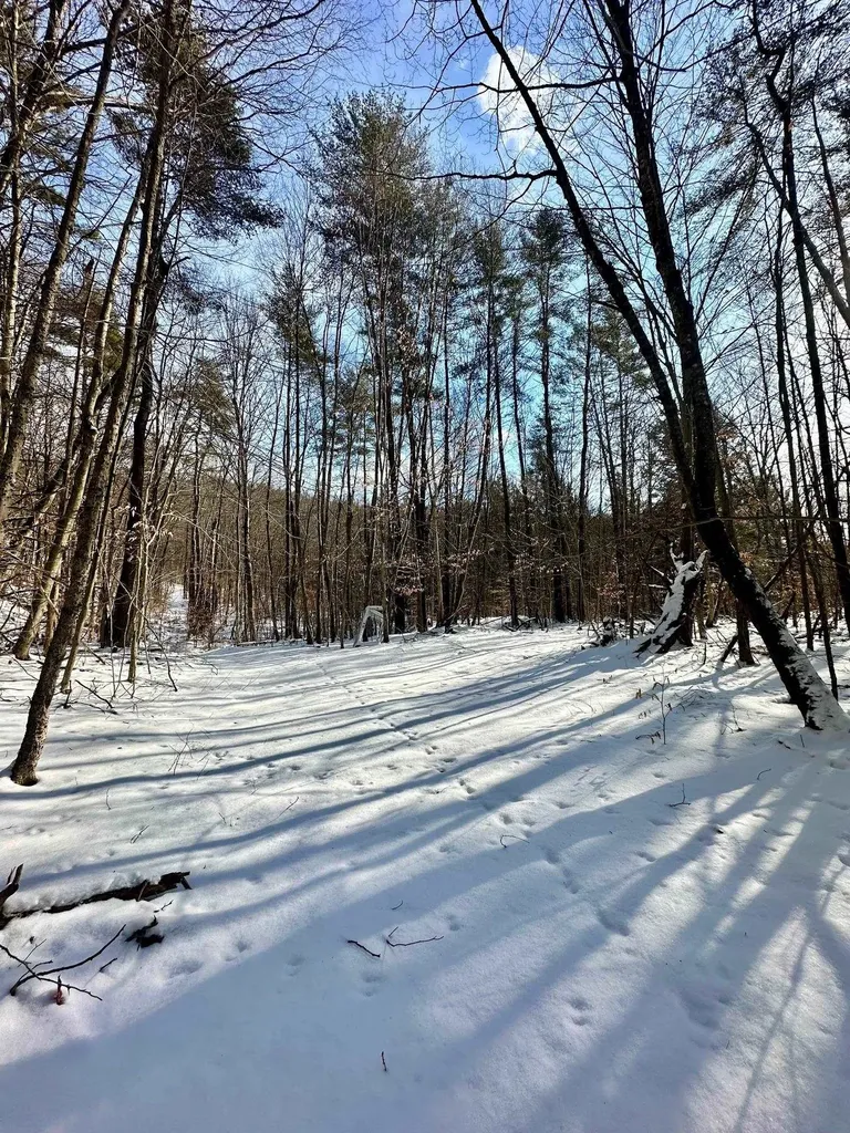 0 Ellen Ware Road Townshend VT 05353