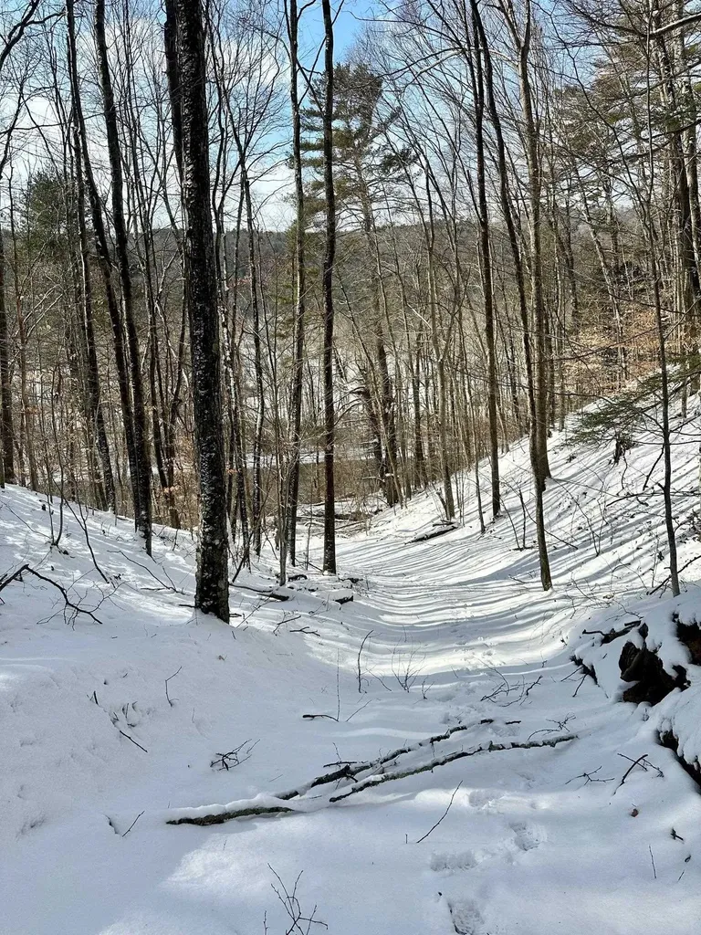 0 Ellen Ware Road Townshend VT 05353