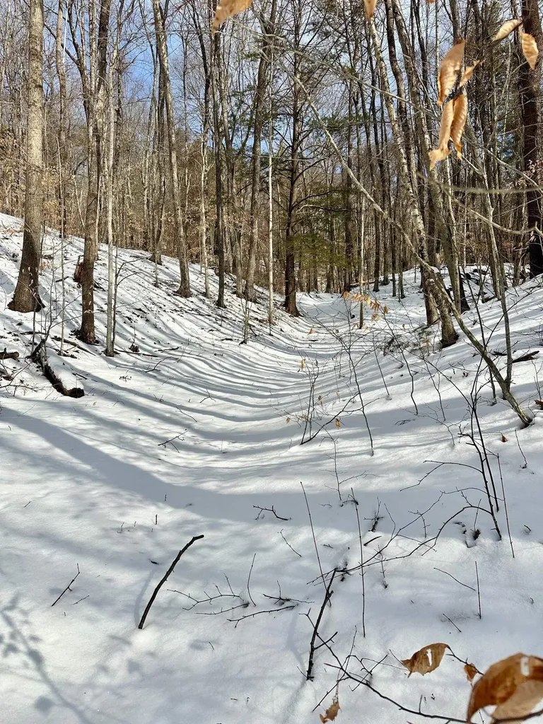 0 Ellen Ware Road Townshend VT 05353