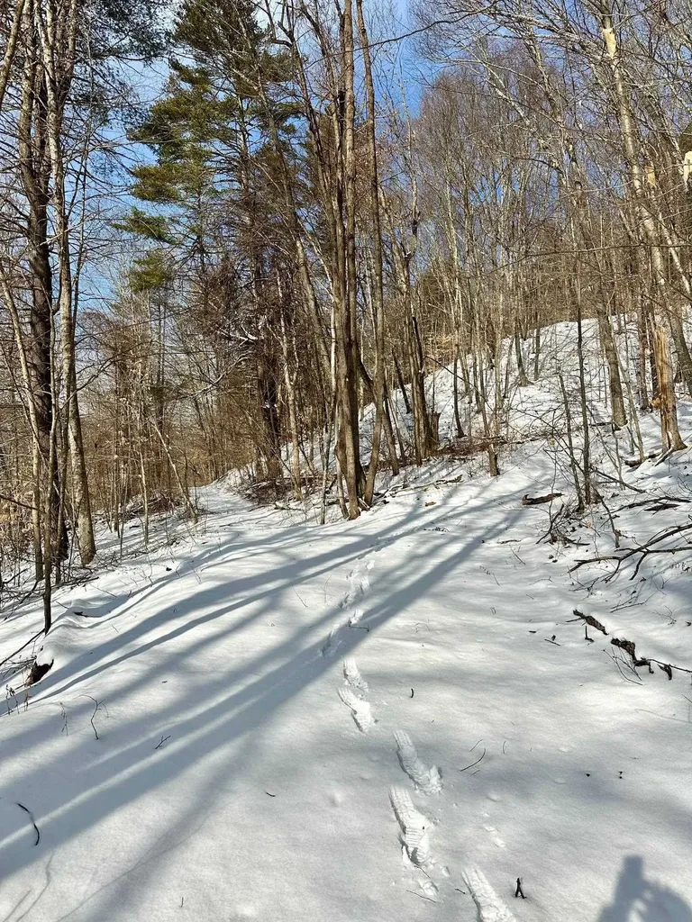 0 Ellen Ware Road Townshend VT 05353