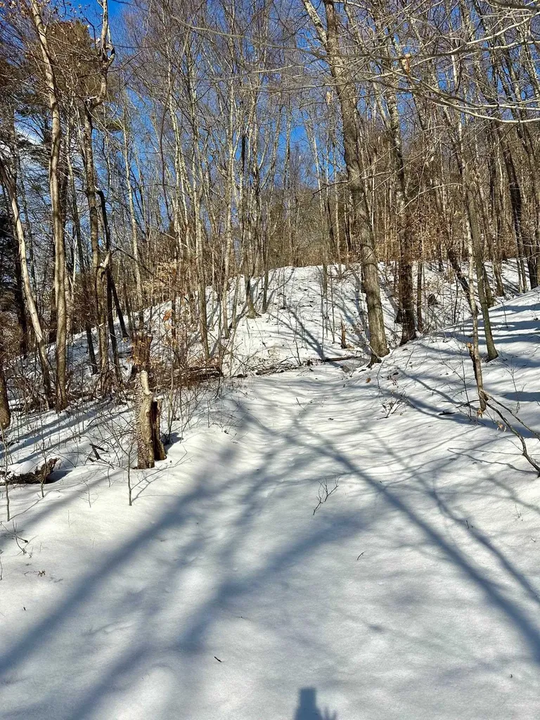 0 Ellen Ware Road Townshend VT 05353