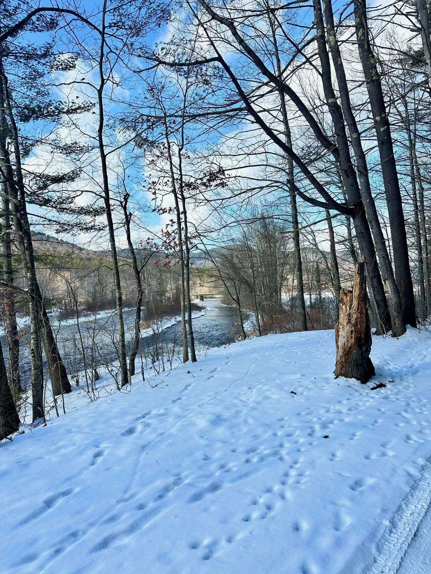 0 Ellen Ware Road Townshend VT 05353