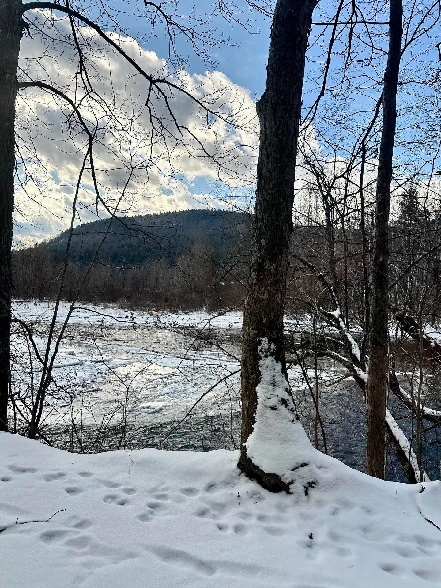 0 Ellen Ware Road Townshend VT 05353