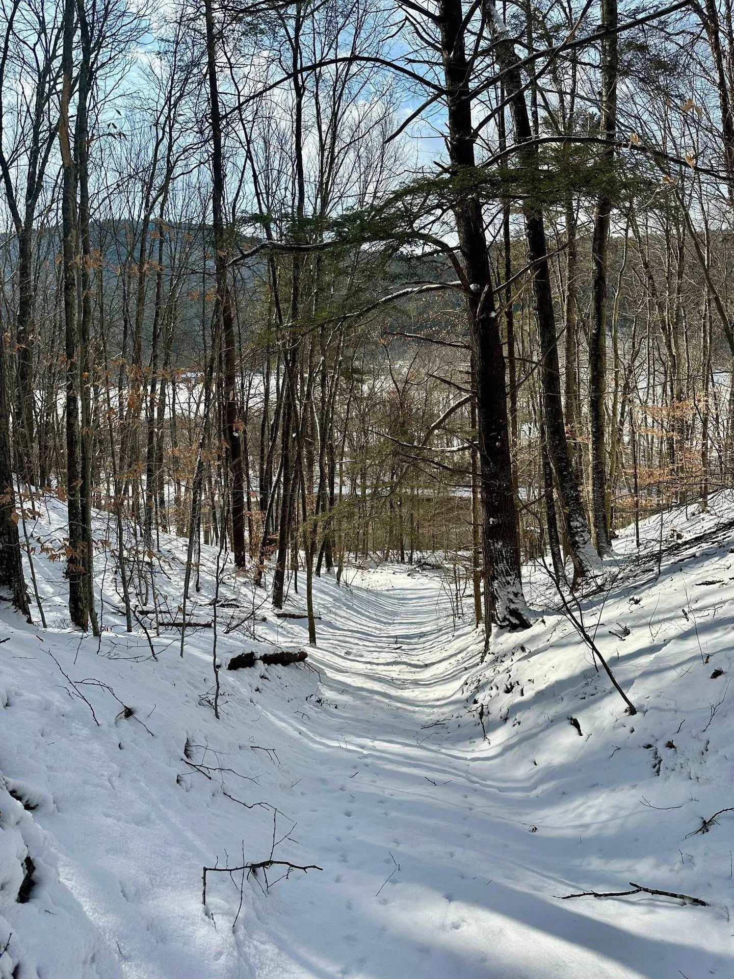 0 Ellen Ware Road Townshend VT 05353