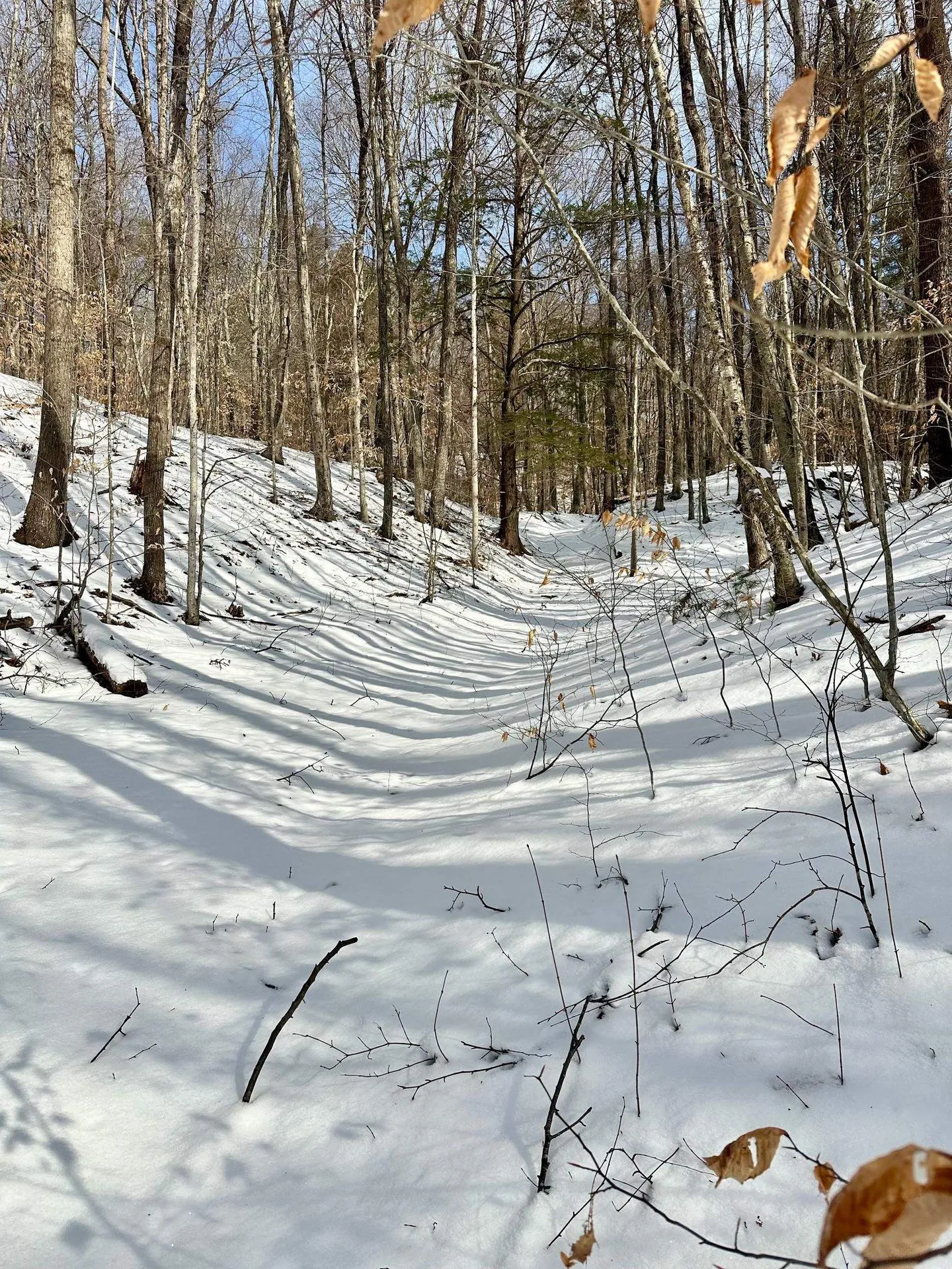 0 Ellen Ware Road Townshend VT 05353