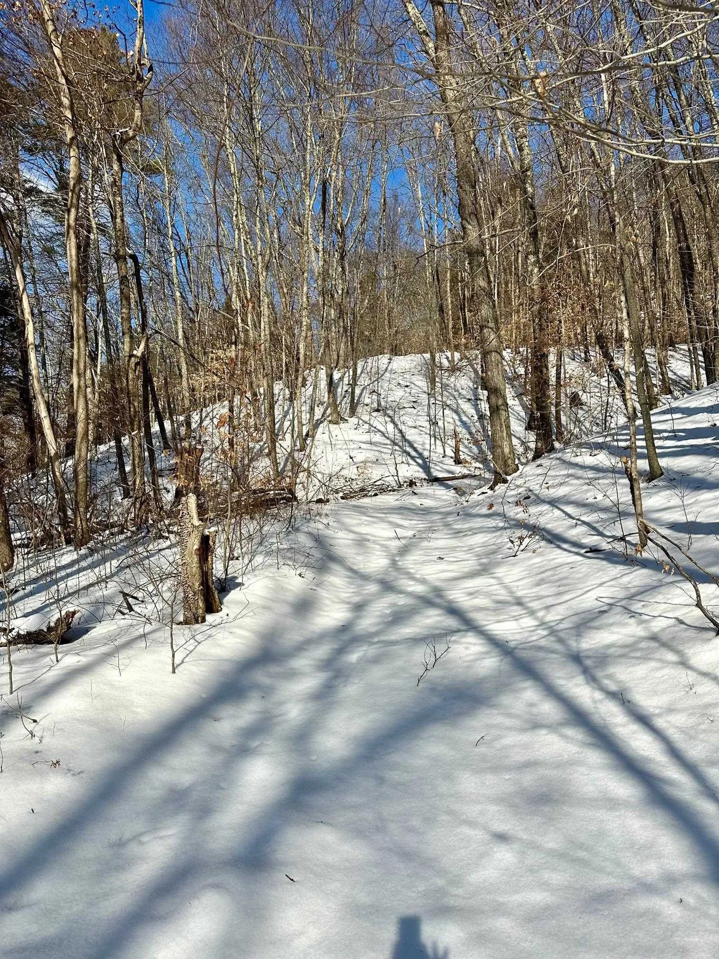 0 Ellen Ware Road Townshend VT 05353