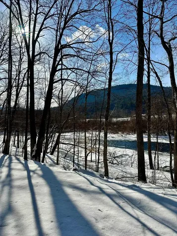 0 Ellen Ware Road Townshend VT 05353