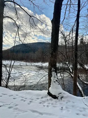 0 Ellen Ware Road Townshend VT 05353