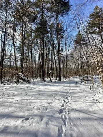 0 Ellen Ware Road Townshend VT 05353