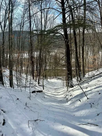 0 Ellen Ware Road Townshend VT 05353