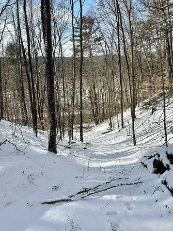 0 Ellen Ware Road Townshend VT 05353