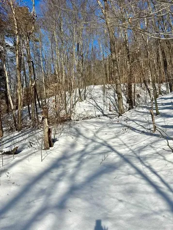 0 Ellen Ware Road Townshend VT 05353