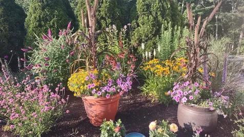 4 Evergreen Trail Jackson NH 03846