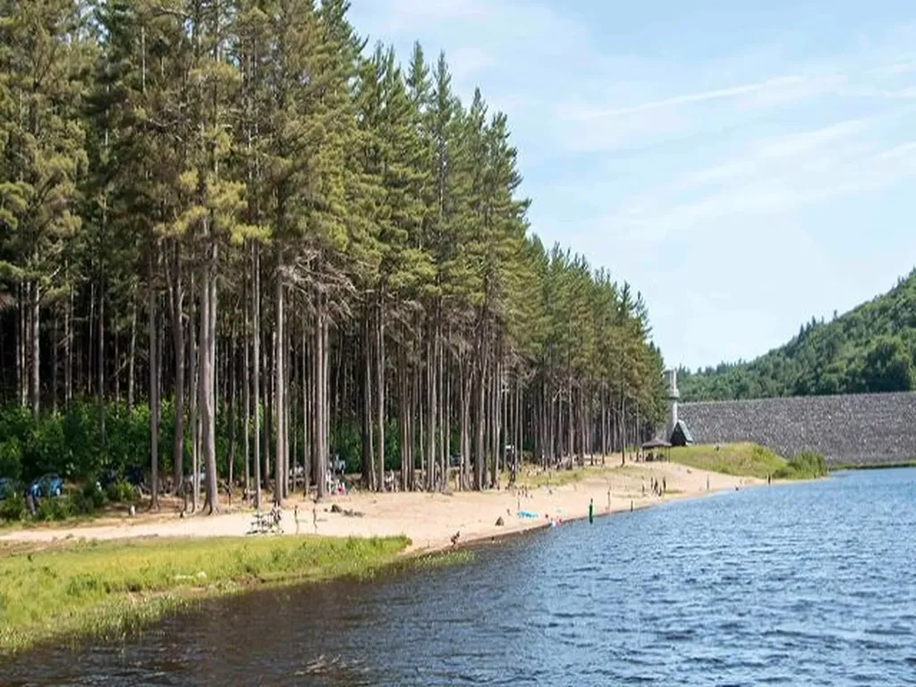 Map 201 Lot 114 Thorndike Road Weare NH 03281