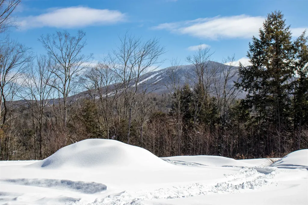 0 Garden Drive Burke VT 05832