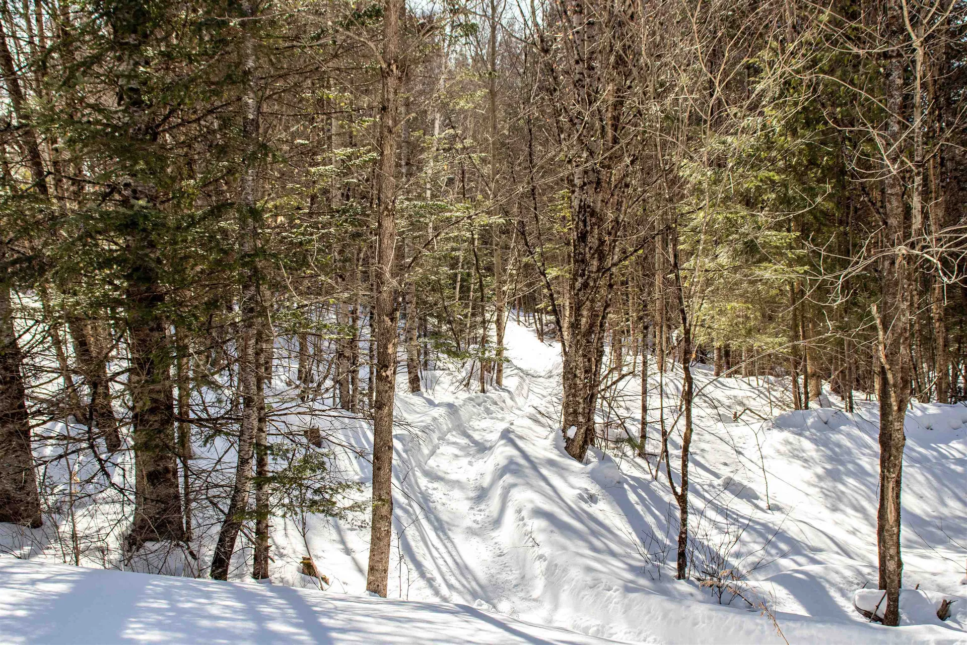 0 Garden Drive Burke VT 05832