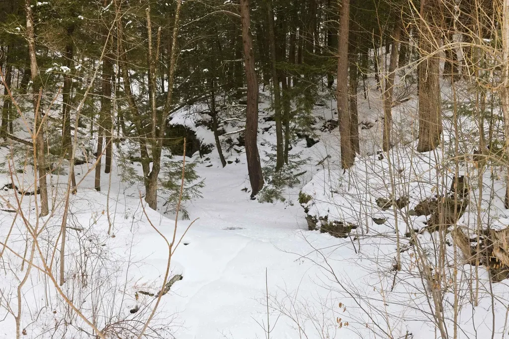 82 Scotts Drive Charlestown NH 03603