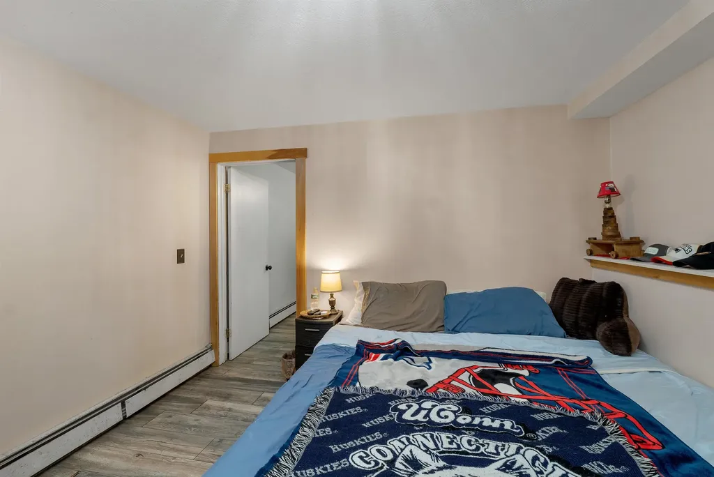 22 Nancy Court Alton NH 03809