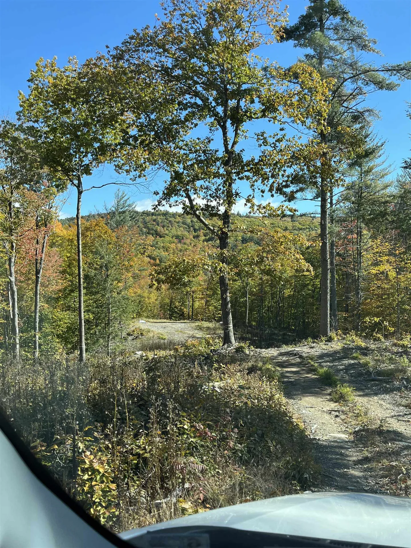 Lot 26-2 Scarboro Road Freedom NH 03836