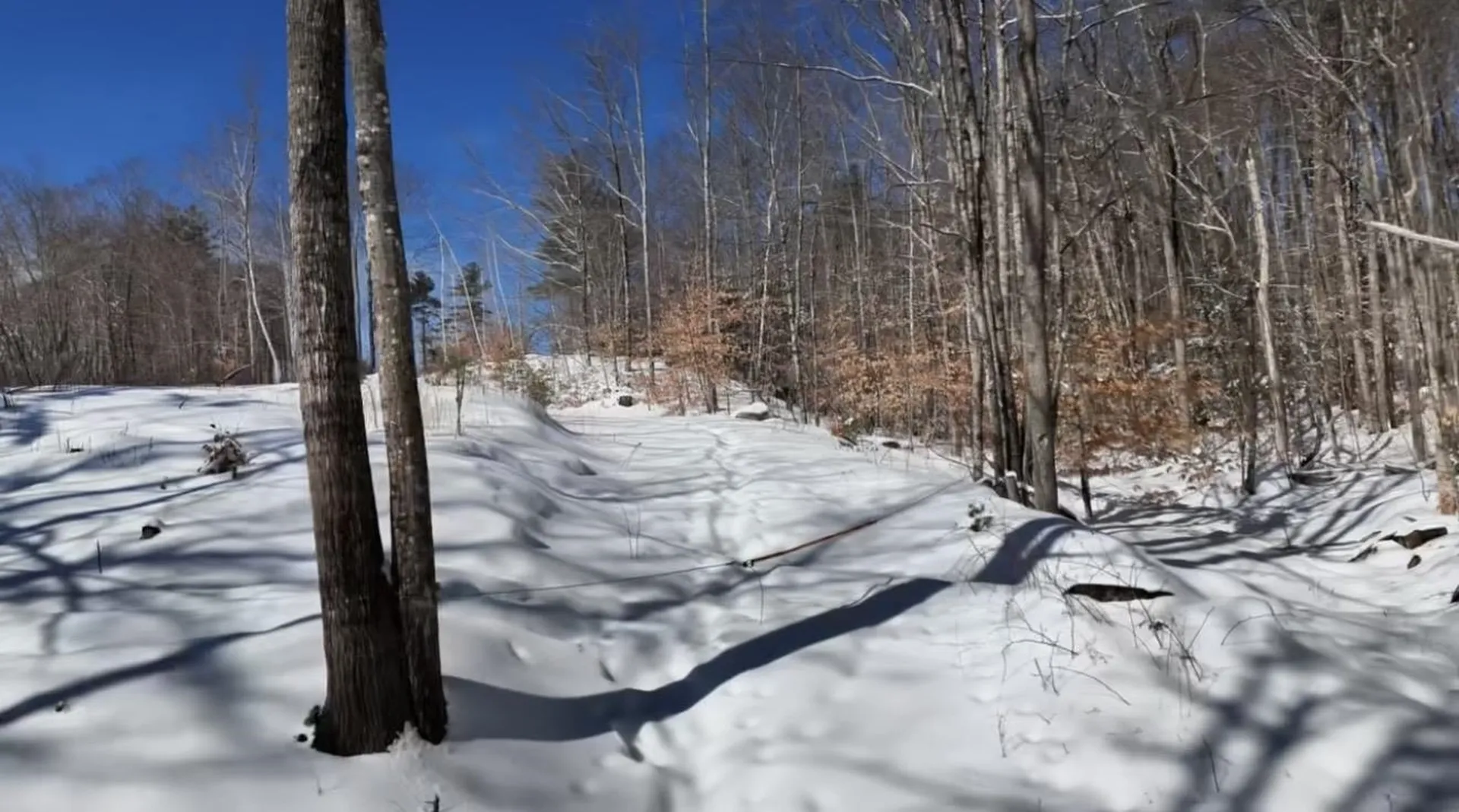 Lot 26-2 Scarboro Road Freedom NH 03836