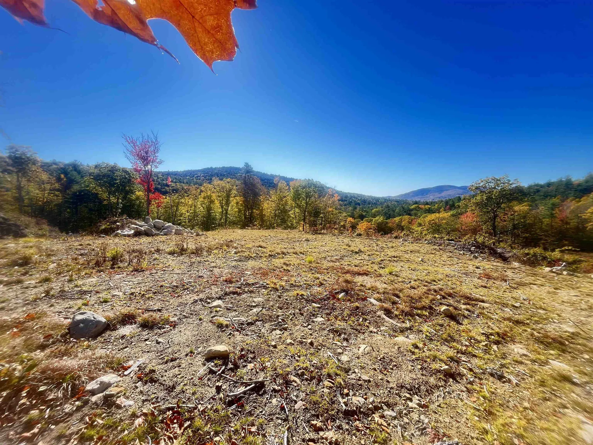 Lot 26-2 Scarboro Road Freedom NH 03836