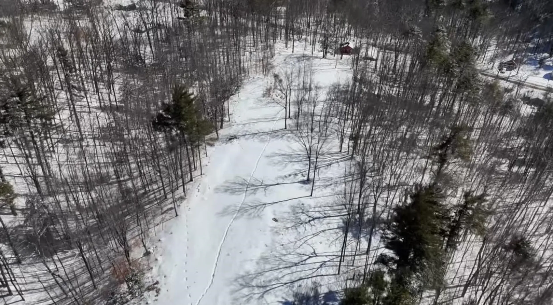 Lot 26-2 Scarboro Road Freedom NH 03836